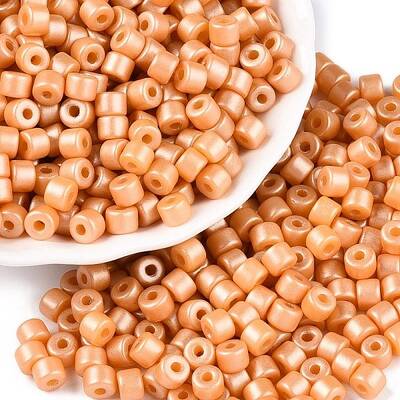 Baking Paint Pearlized Glass Seed Beads