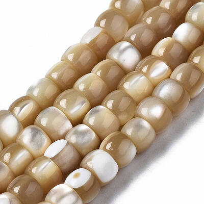 Natural Trochid Shell/Trochus Shell Beads Strands