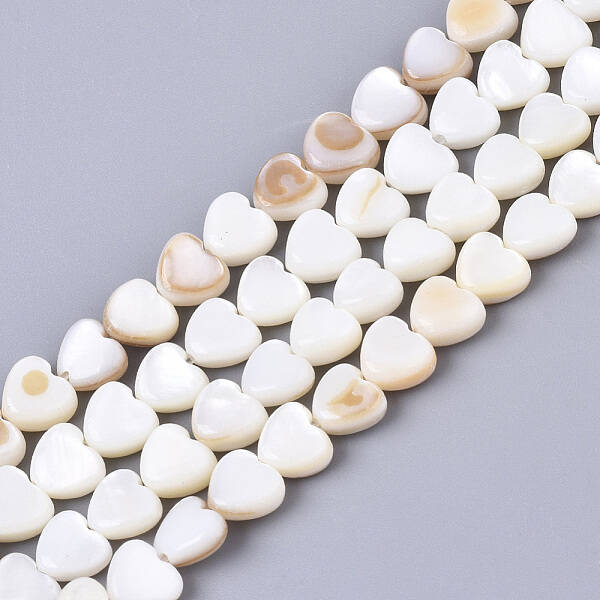 Natural Trochid Shell/Trochus Shell Bead Strands