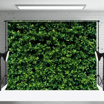 Dense Green Natural Plant Leaves Spring Backdrop - Aperturee