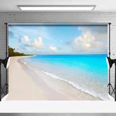 Blue Sky Sand Beach Coastal Backdrop For Photo Booth - Aperturee