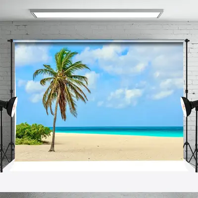 One Coconut Tree Blue Beach Sea Sky Photo Backdrop - Aperturee