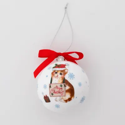 Merry Christmas Pet Ornaments - Set of 6