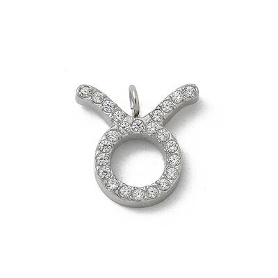 304 Stainless Steel Micro Pave Cubic Zirconia Charms