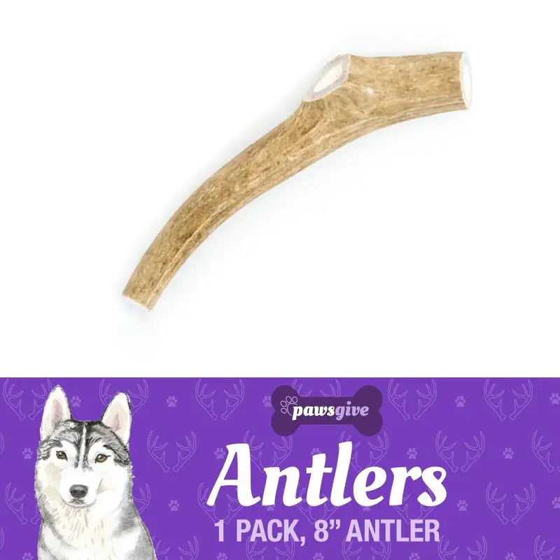 PawsGive Naturally Shed Antler Dog Chews | Natural Dog Chews