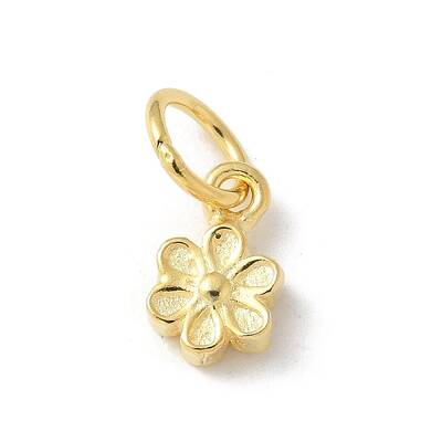 S925 Sterling Silver Pendant
