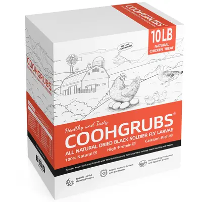 COOHGRUBS Dried Black Soldier Fly Larvae for Chickens Hens Poultry, Firmer Eggshells Non-GMO, High Calcium High Protein Crisp...