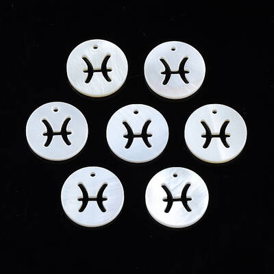 Natural Freshwater Shell Charms
