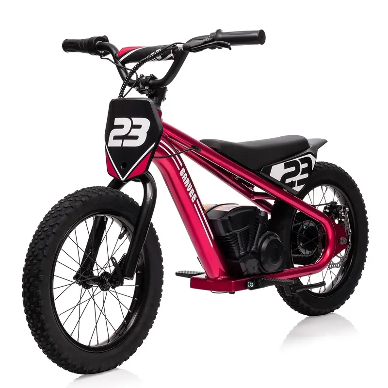 Garvee Ride - G Series: 16 Inch Kids Electric Balance Bike 250W Motor 3 Speed Settings Aluminum Frame Detachable Battery Off-...