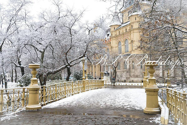 Aperturee Winter Wonderland Snow Nature Chirstmas Backdrop