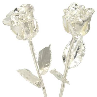 His and Her 14 Silver Dipped Roses
