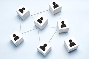 Human Resource Policies and Organization Structure