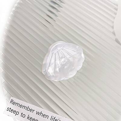Mini Shell Shape Cellulose Acetate(Resin) Claw Hair Clips