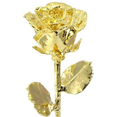 17 Real Rose Dipped in 24k Gold