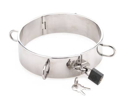 Stainless Steel Collar - 4.5 Inch