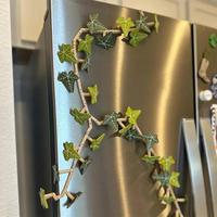Artificial Ivy Leaf Fridge Magnet, 1 Set Magnetic Plant Decoration, Magnetism, Multifunctional Elastic Fridge Magnet for Kit...