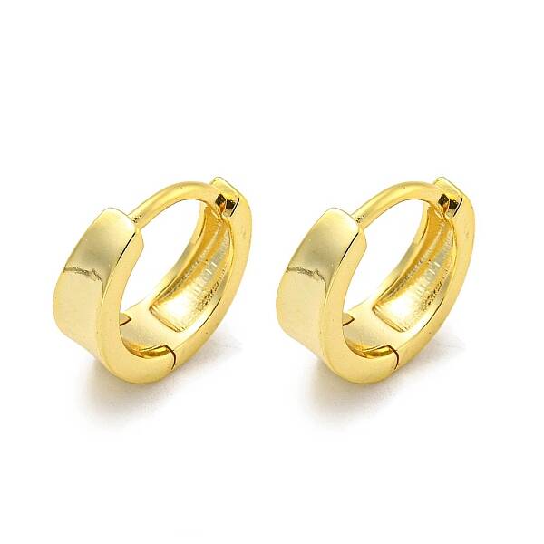 Brass Hoop Earrings