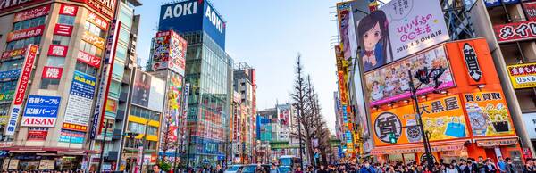 History and Architecture: A Tokyo Walking Tour with Context