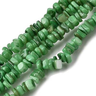 Natural Freshwater Shell Beads