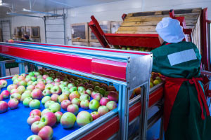 Introduction to Shelf Life Extension of Fruits and Controlled Atmosphere Storage