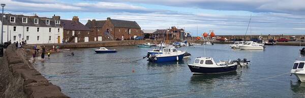 Stonehaven: Robert Burns, the BBC and Mars Bars