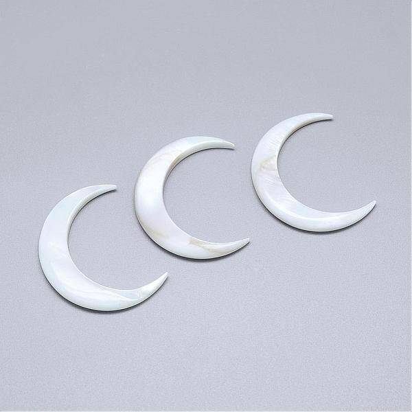 Natural Freshwater Shell Beads