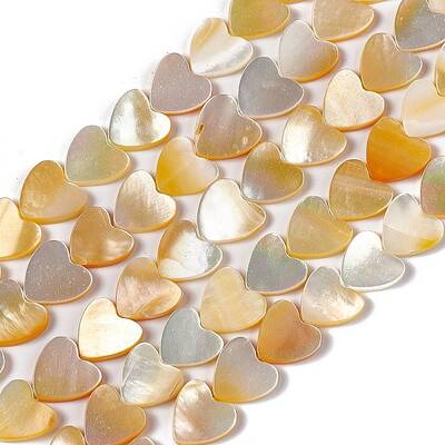 Natural Yellow Shell Beads Strands