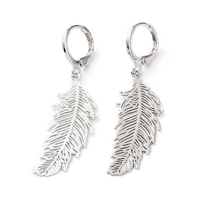 304 Stainless Steel Leverback Earrings