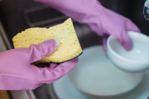 Cleaning Steward Training