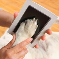 Pet Paw Print Supplies, 1 Count Pet Paw Ink Pad with 2 Counts Imprinted Cards, Pet Paw Print Memorials for Dogs and Cats, Pet...