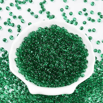 3/0 Baking Paint Glass Fringe Seed Beads