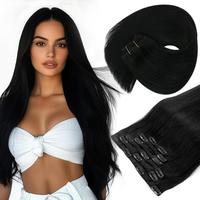 Sunny Hair Clip in Hair Extensions Human Hair Extensions Clip ins