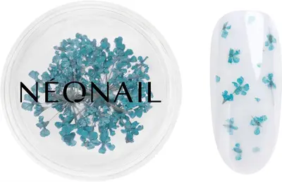 NEONAIL Dried Flowers dry flower for nails color 05 Turquoise