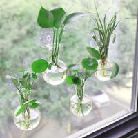 Suction Cup Plant Vase, 4 Counts Bulb Shaped Plant Holder with 4 Counts Suction Cup, Window Plant Breeding Station, Garden Or...