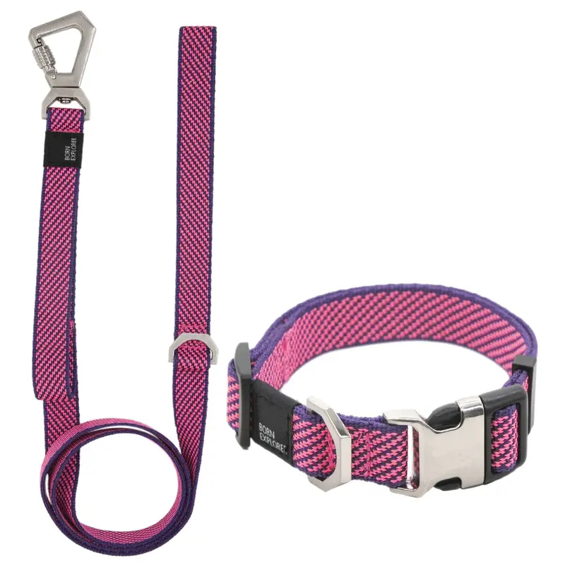Pet Life® Escapade 2-in-1 Leash & Collar - Blue - Small