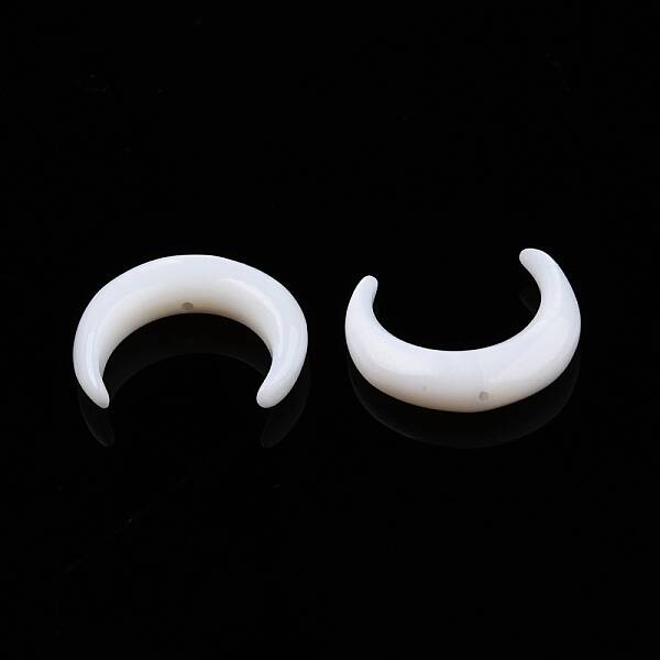 Natural Freshwater Shell Beads