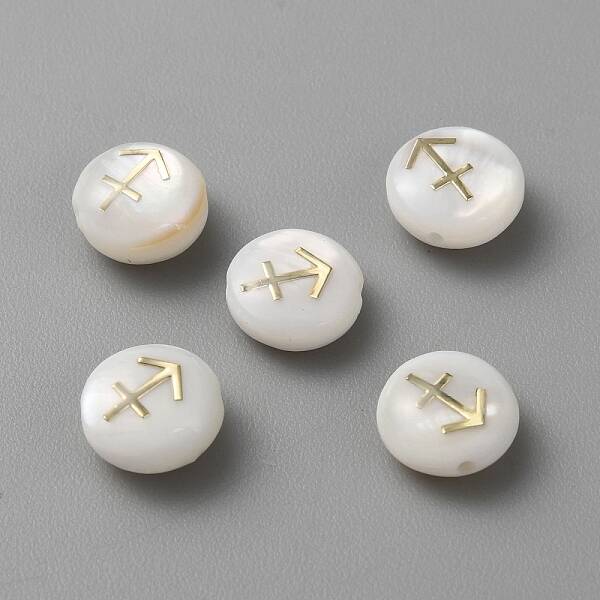 5Pcs Natural Freshwater Shell Beads