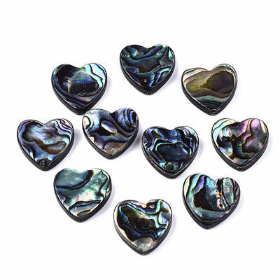 Natural Abalone Shell/Paua Shell Beads