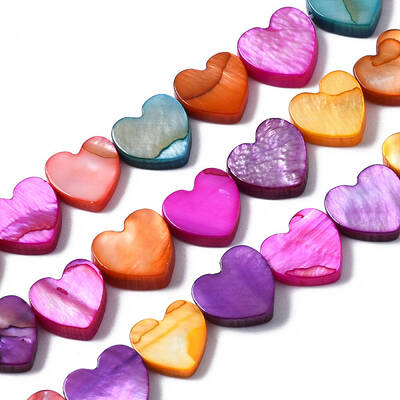 Natural Freshwater Shell Beads Strands