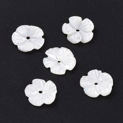 Natural Trochid Shell/Trochus Shell Beads