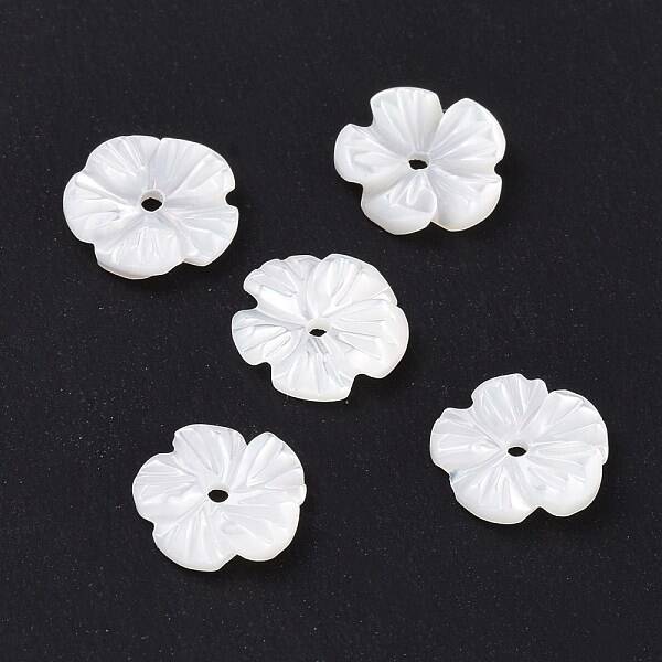 Natural Trochid Shell/Trochus Shell Beads