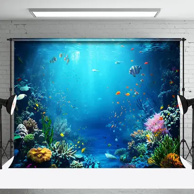 Fish Seaweed Underwater Landscape Photo Backdrop - Aperturee