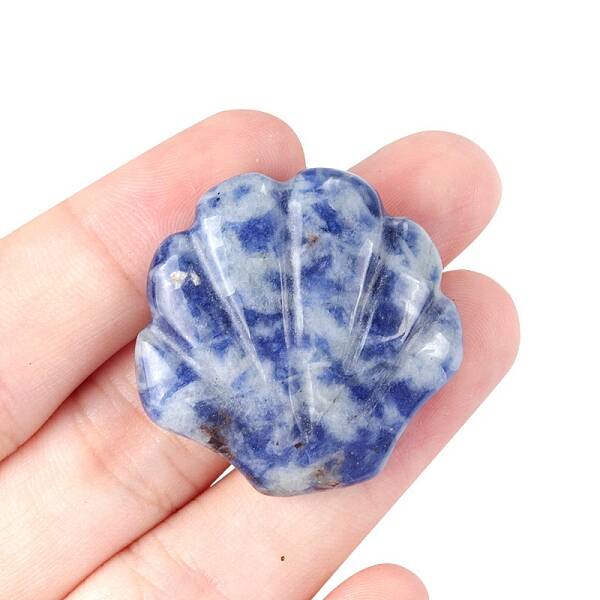 Natural Blue Spot Jasper Carved Healing Shell Shape Figurines
