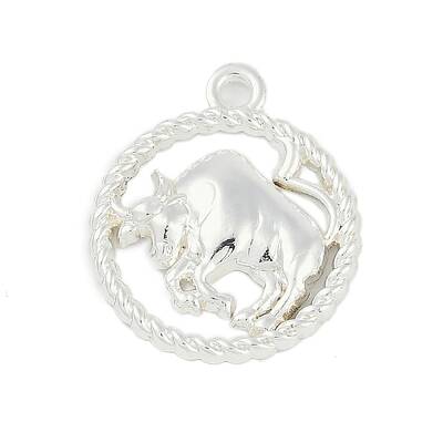 Twelve Constellations Alloy Pendants