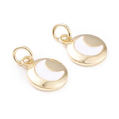 Brass Enamel Charms