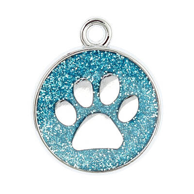 Enamel Charms