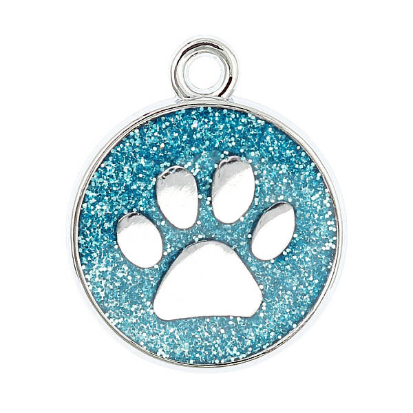 Enamel Charms