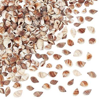 Natural Spiral Shell Beads