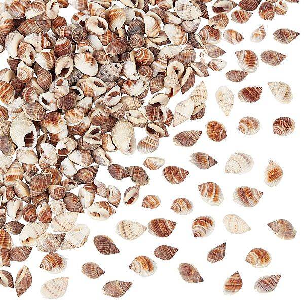 Natural Spiral Shell Beads
