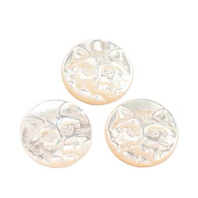 Natural Sea Shell Cabochons